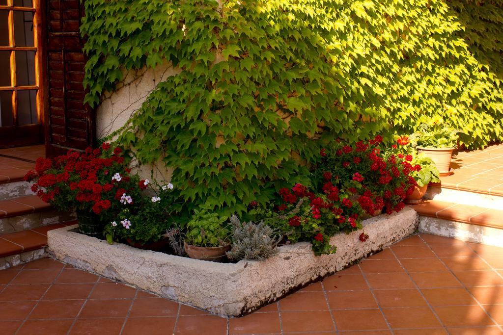 Casa Del Falso Pepe - Scala Dei Turchi Realmonte Exteriér fotografie